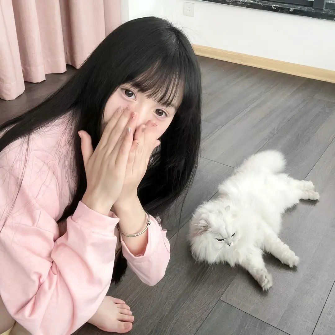太极熊猫